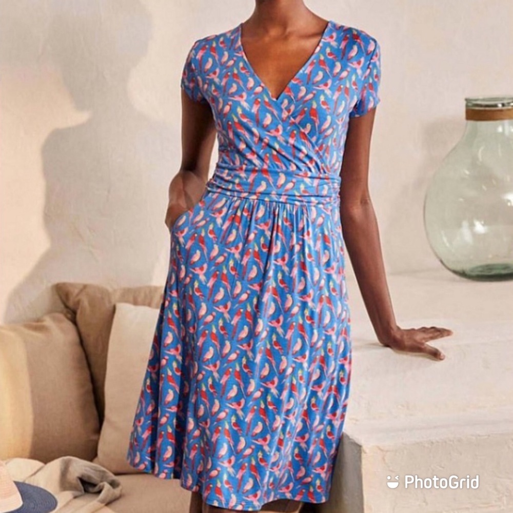 Blue Parakeets Lola Surplice Cap Sleeve Dress - NWT
